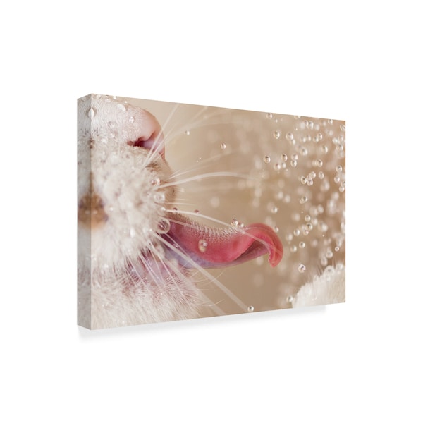 Oranit Turgeman 'Cat And Water Drops' Canvas Art,12x19